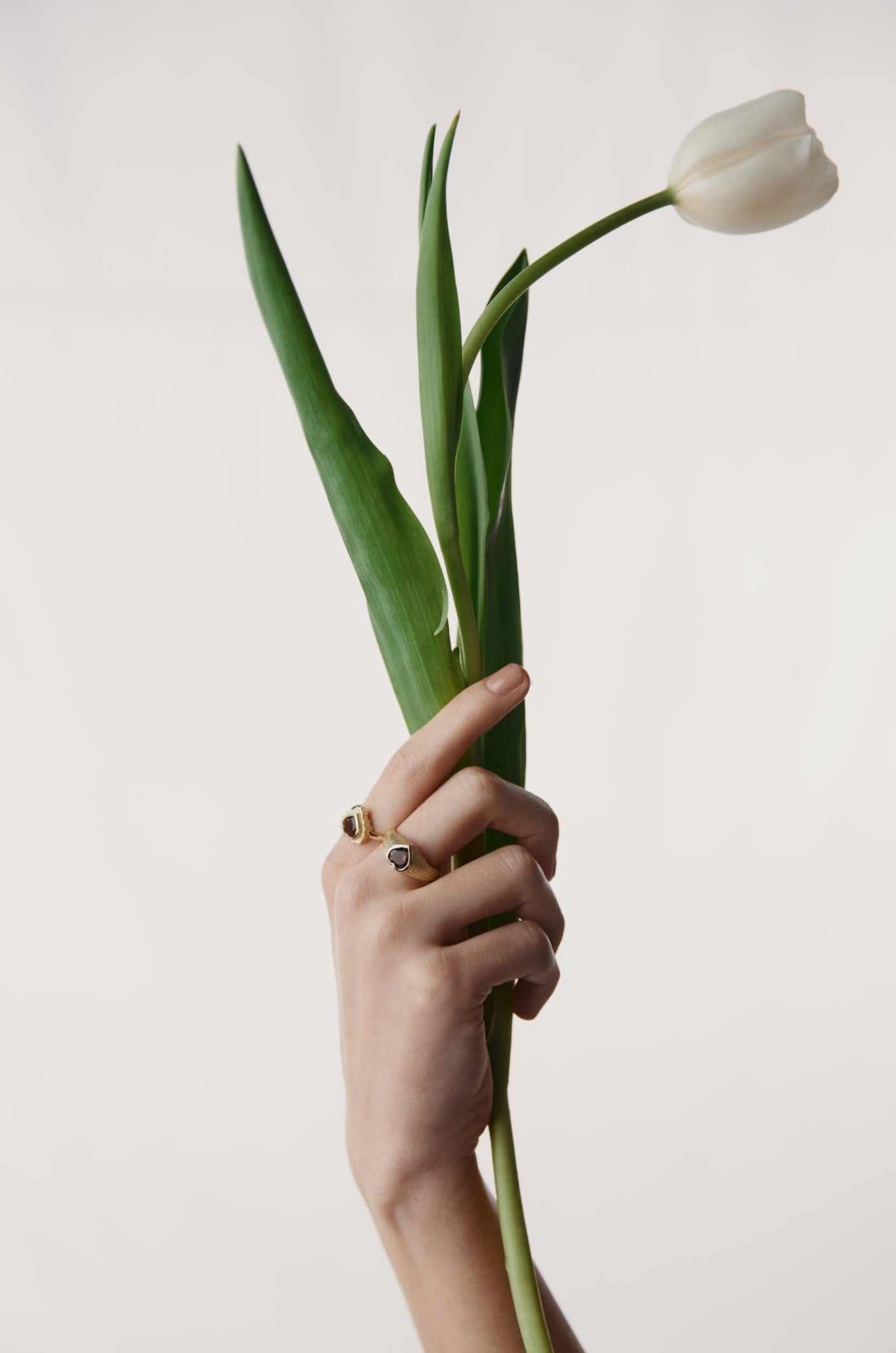 Silk & Steel Jewellery Amour Ring Smokey Quartz + Silver