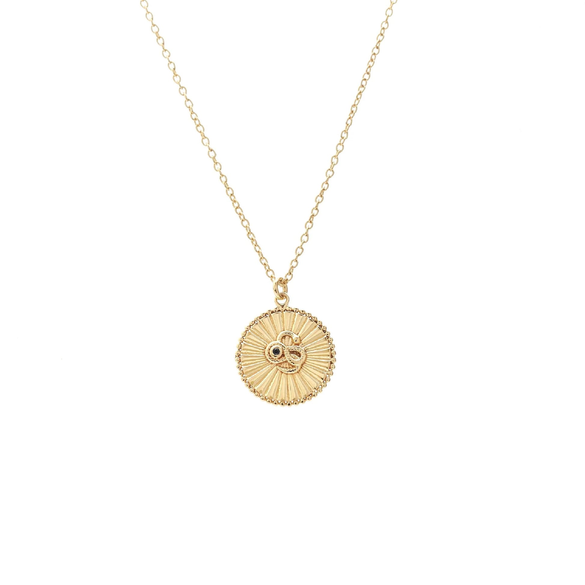Silk & Steel Serpent of Strength Talisman Necklace with snake and black spinel - Gold