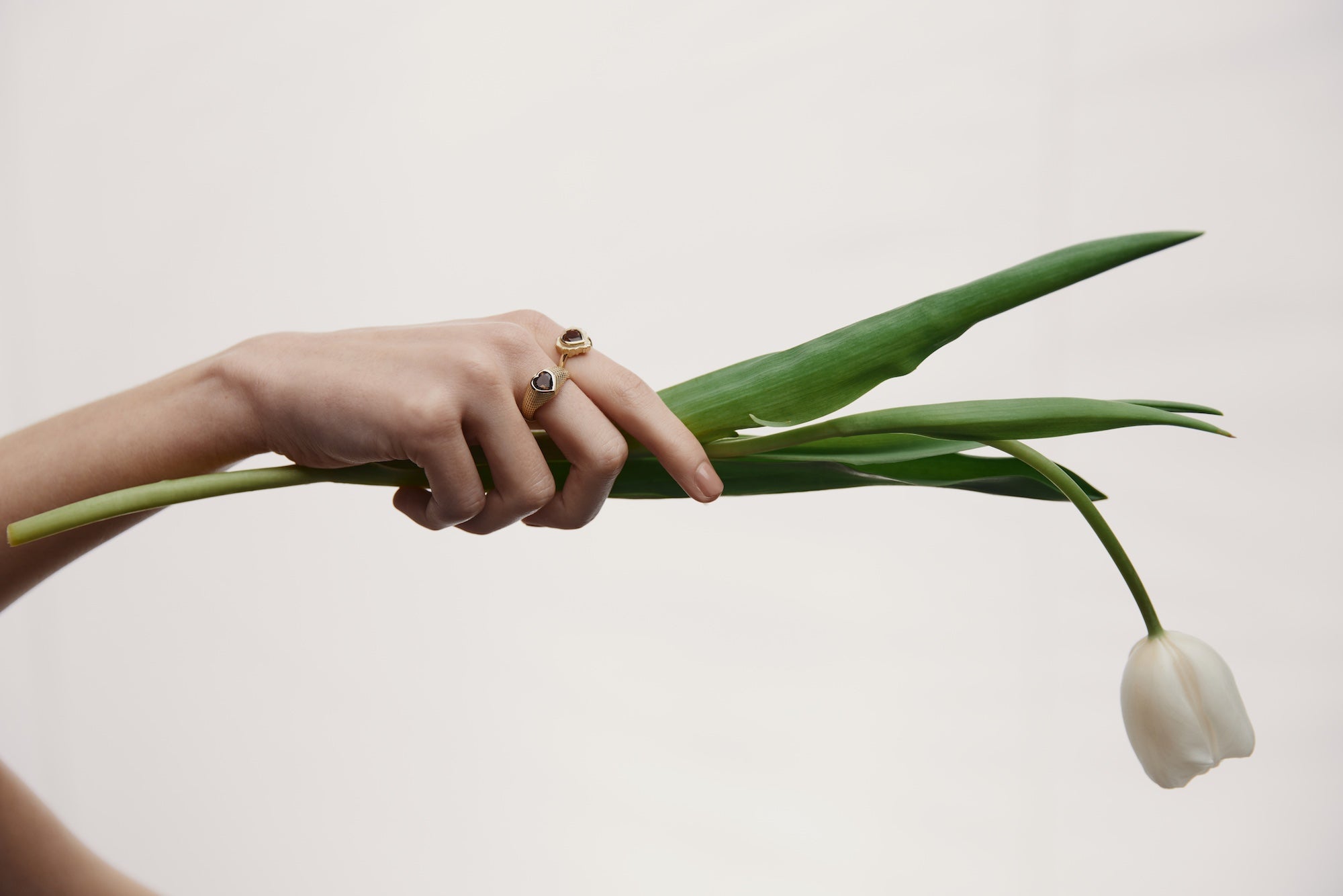 Silk & Steel Forever Rings