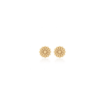 Silk & Steel Jewellery Superfine Daisy Stud Earrings Gold