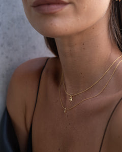 Silk & Steel Superfine Talisman Petite Swallow Necklace Silver