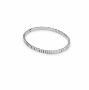 Silk & Steel Oracle bangle in silver stainless steel.