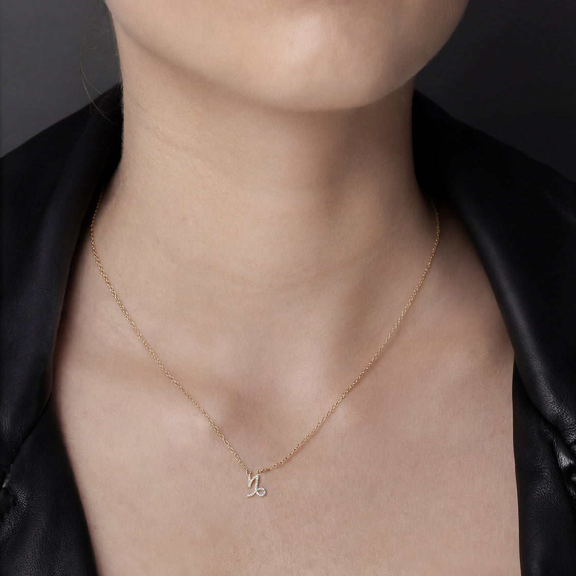 Silk & Steel Jewellery Capricorn Star Sign Pendant Necklace in 14k gold-plated Sterling Silver with Cubic Zirconias