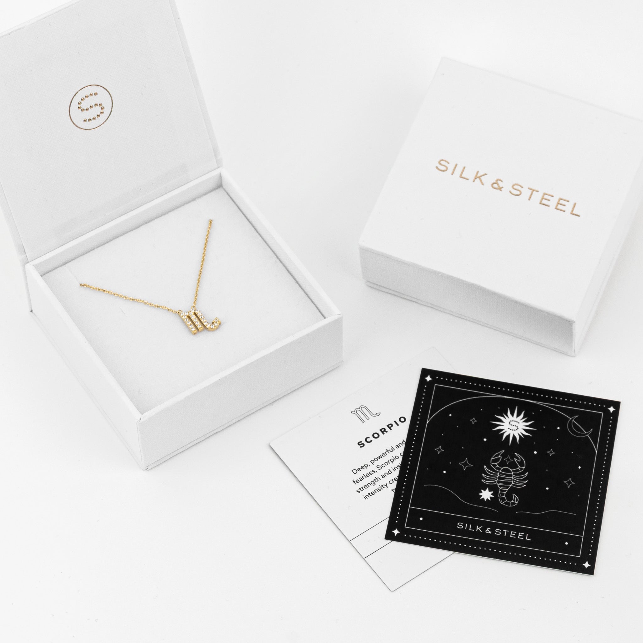 Silk & Steel Zodiac necklace card displayed with the signature white packaging.