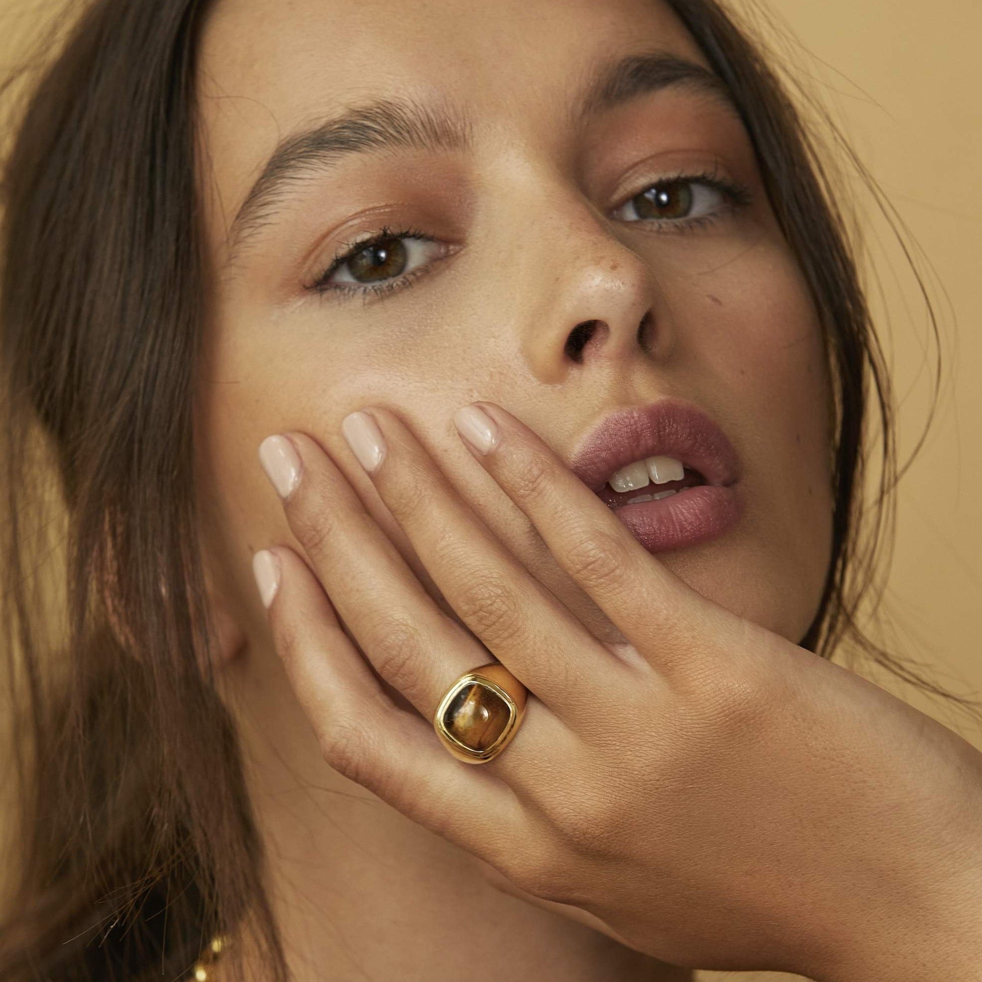 Silk & Steel Heritage Signet Ring Tigers Eye Gold