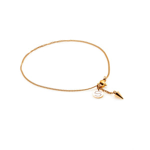 Silk & Steel Jewellery Ravello Anklet Gold